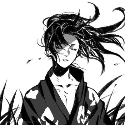 多位省委书记省长会见王传福